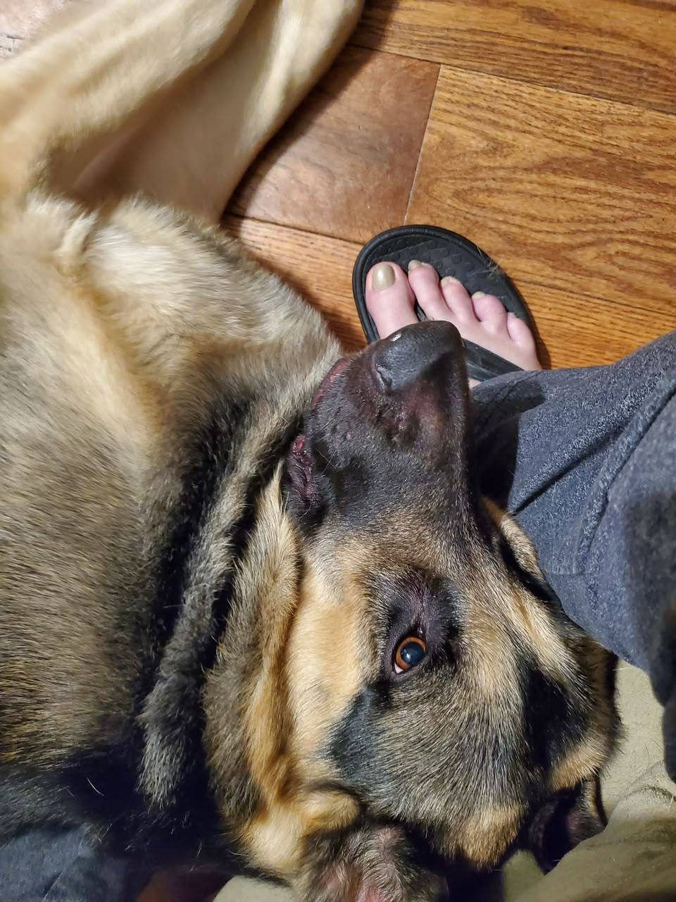 Kaiser photo 2